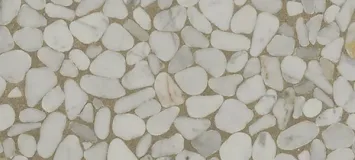 Om1 1