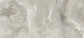 Silver Onyx