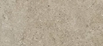 Taupe Fossil