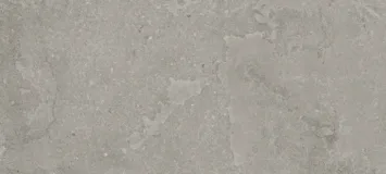 Fossil Cross Cut