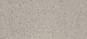 Silver DE