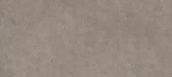 Tortora