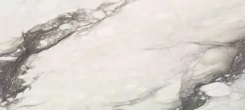 Renoir