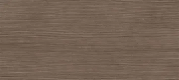 Plank 02