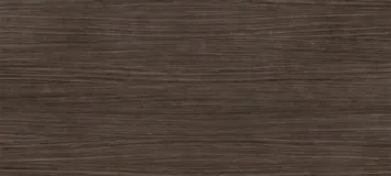 Plank 03