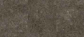 Brown Fossil