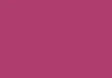 Buildtech Fuchsia