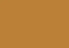 Buildtech Mustard