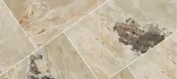 Golden Blend