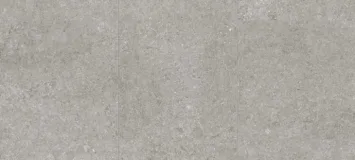 Grey Fossil