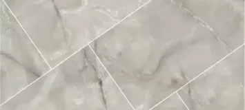 Silver Onyx