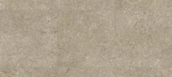 Taupe Fossil