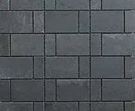 Venom Mosaic