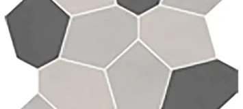 Polygon 2 Colors