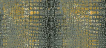 Croco6