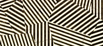 Zebra6