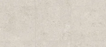 White Fossil